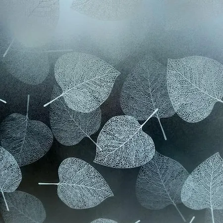 Chalet - L'endoxyle *