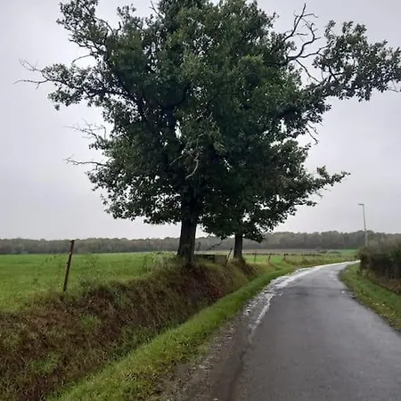 - L'endoxyle * Froid-Chapelle