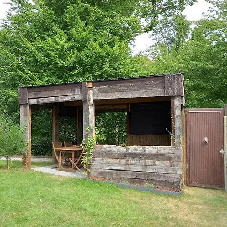 - L'endoxyle * Froidchapelle