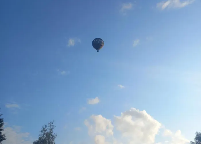 Domek alpejski - L'endoxyle *