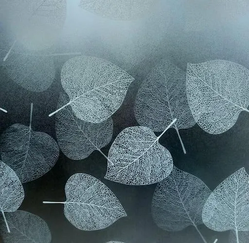 Domek alpejski - L'endoxyle *