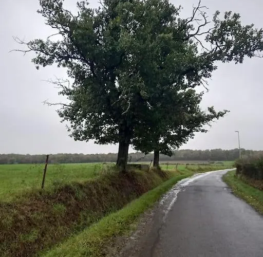 - L'endoxyle * Froid-Chapelle