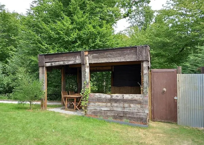 - L'endoxyle * Froidchapelle