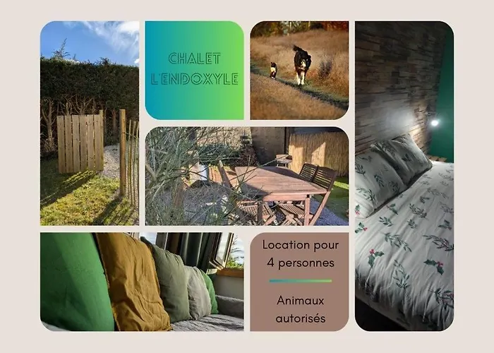 Domek alpejski - L'endoxyle *